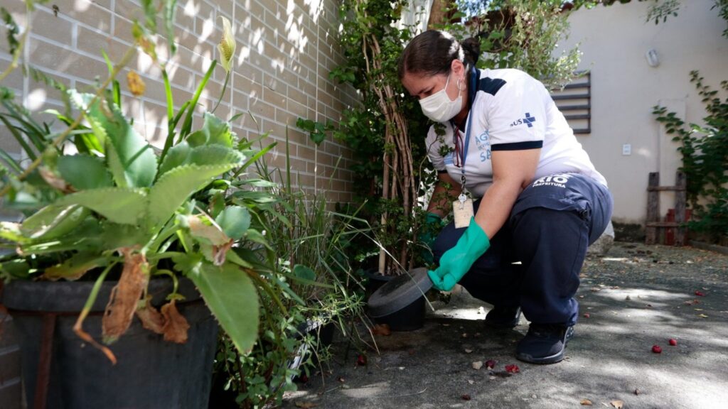 Ação de combate à dengue em Manguinhos